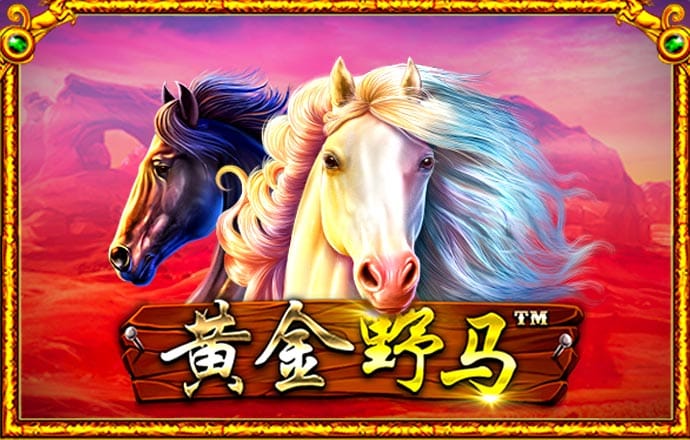 澳门376969跑狗论坛